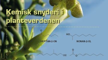 Kemisk snyderi i planteverdenen