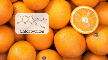 Sprøjtemidlet chlorpyrifo