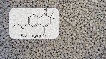 Ethoxyquin som konserveringsmiddel
