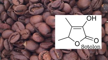Sotolon og kaffe