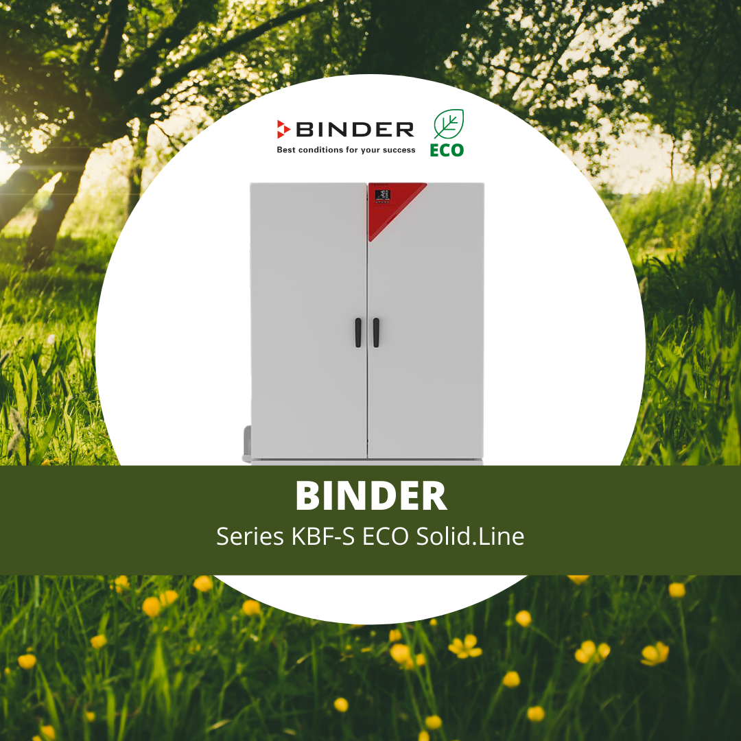 Binder ECO Solid.Line