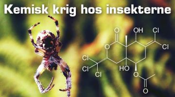 kemiskkrighosinsekterne16299320_869440189865362_2814366505224543770_n
