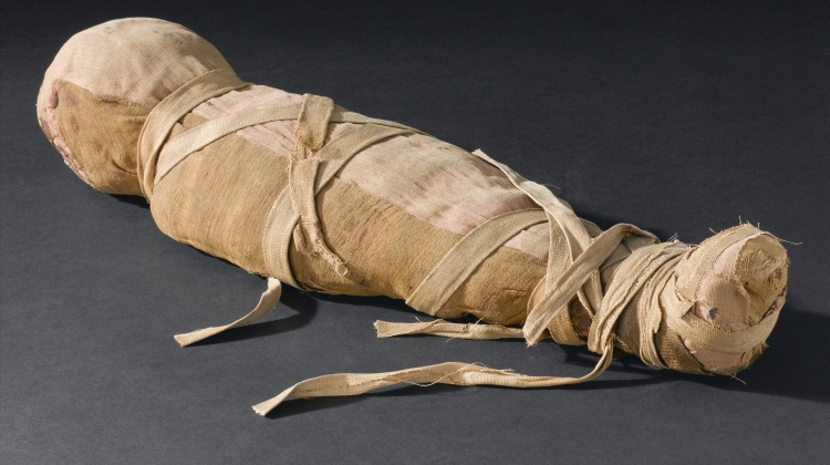 L0058419 Mummified infant, no provenance, Egypt, 2000 - 101 BC. Front Credit: Science Museum, London. Wellcome Images images@wellcome.ac.uk http://wellcomeimages.org Mummified infant, no provenance, Egypt, 2000 - 101 BC. Front three quarter view. Black background. Published: - Copyrighted work available under Creative Commons Attribution only licence CC BY 4.0 http://creativecommons.org/licenses/by/4.0/