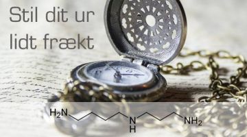 stildtiturfraekt15589484_849318568544191_2533581020592644114_n-1