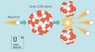 Ядро изотопа урана 235 92 u